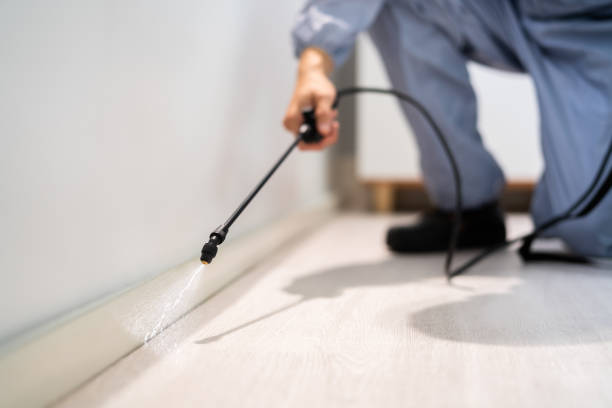 Licensed Pest Control service in Hawaiian Ocean View, HI - Nex Pest Control